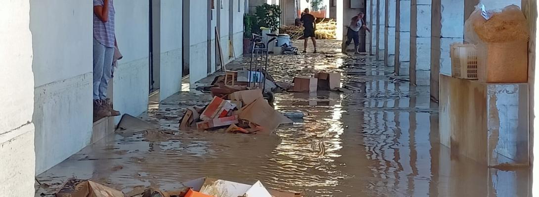 Emergenza alluvione, piattaforma richiesta risarcimenti